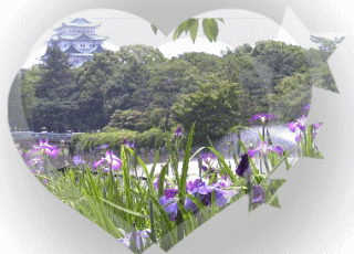 花見コース