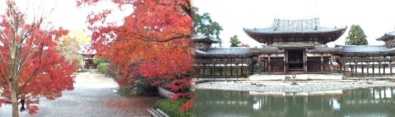 京都の秋・平等院2010.11.23（180.9mb)