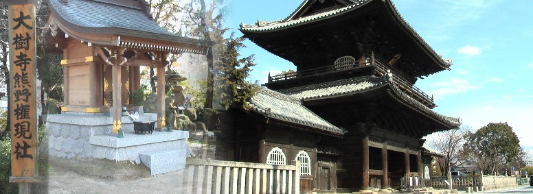 大樹寺境内の熊野権現社（左）。大樹寺総門（右）。