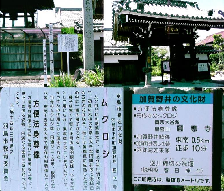 円応寺。