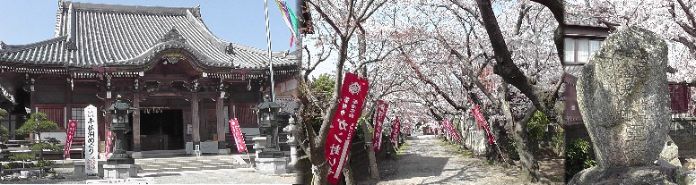 無量寺（がん封じ寺、左本堂）。右、さくら並木の参道。 リンク：無量寺 無量寺
