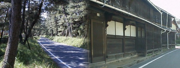 御油の町並みと松並木街道, 12年後東北側の松と竹林は大きく変わっていました。 以上平成10年5月31日撮影