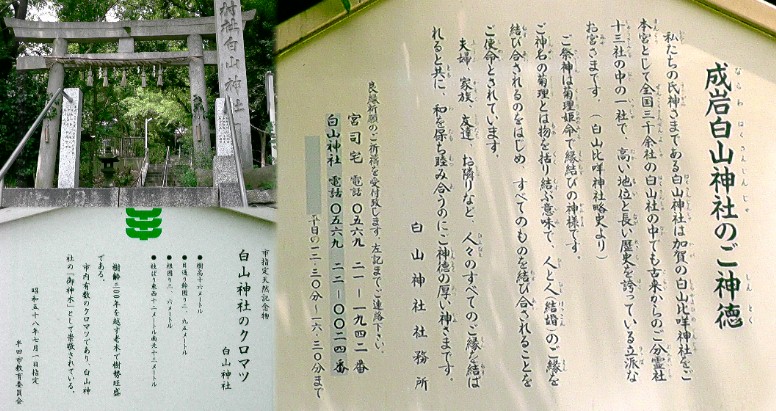 白山神社２。