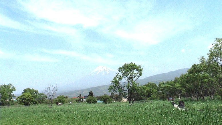 ウィキメディア・コモンズ経由で・ 歌川広重「東海道五十三次・原」 広重画検証:手前の愛鷹山と富士山の展望が広重画と良く似ています、現国道1号線沿い浮島ケ原 自然公園から撮影。