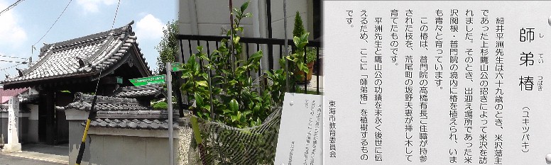 宝国寺（左）と境内の師弟椿。