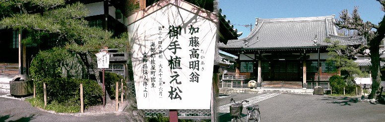 法雲寺本堂と境内の加藤高明翁（愛知県出身初の総理大臣）お手植えの松。