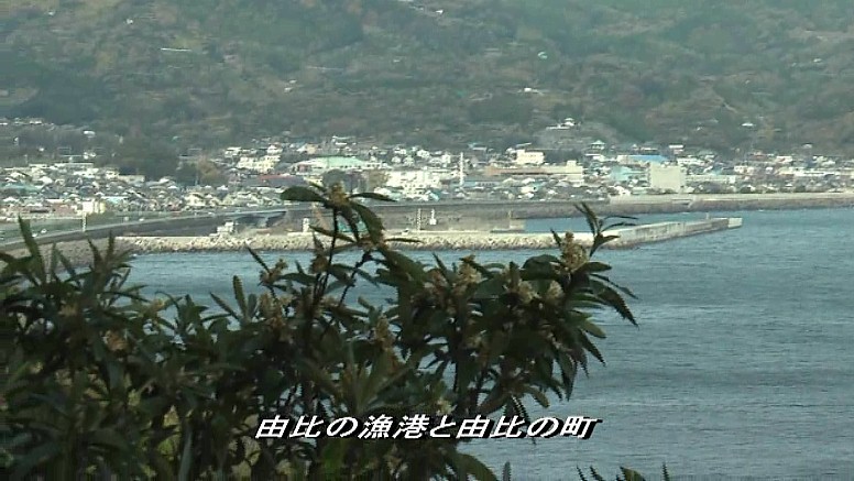 薩垂峠から由比の町を展望する。