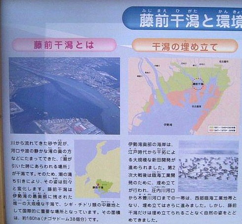 始めは名古屋市ゴミ処分場として埋め立てる計画でしたが１９９９年１月 干潟として保存されることに決定、このたび国際的に貴重な湿地を保全す るラムサール条約にこの藤前干潟が認定登録されました。(紹介文) 平成１４年９月２１日大潮時間帯で撮影した