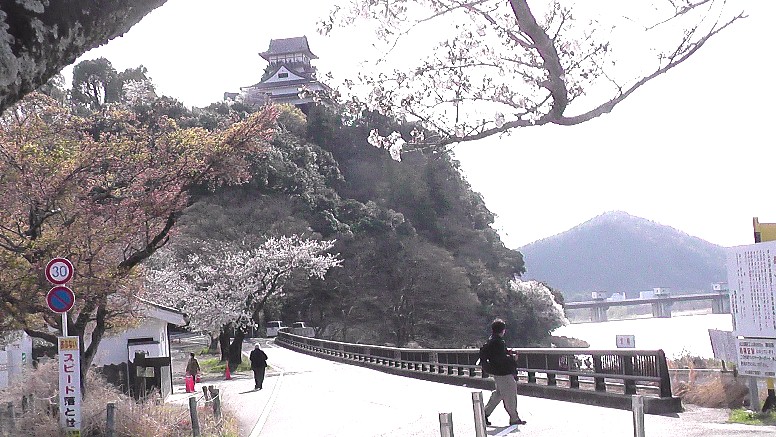 ２０２１．３．２６日午後3時ころ撮影。 国宝犬山城下桜並木(第1部) (第２部)