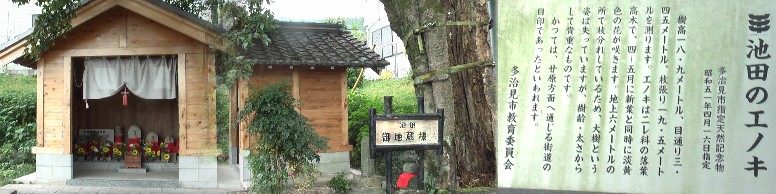 池田・常夜灯から約100m南に建っています。