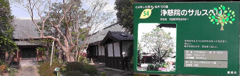 浄慈院。浄慈院は檀家(だんか)を持たない代わりに、当時、男女共学の寺子屋や 農園、貸金業を営んでおり、地域の経済状況や流行病も読み取れる(愛大・浄慈院 日別雑記より)。リンク:浄慈院