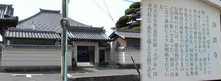 浄恩寺。寺の右上に市内最大の「イブキ」が見えます。 港区役所推奨の「南陽のふるさとめぐり」の小さな旅を、地下鉄名古屋港線東海通駅から市バス河合小橋行 (西へ一直線)に乗り約25分新西福橋下車から始めます。またあおなみ線名古屋競馬場駅からも同