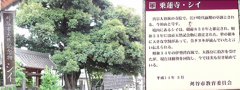 乗蓮寺。