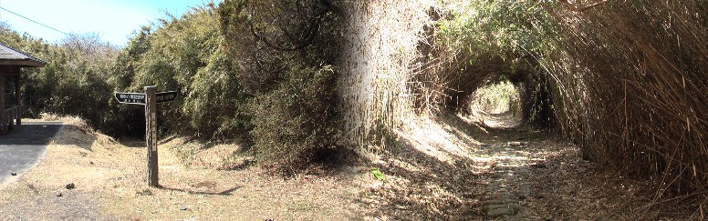 竹笹のトンネルを抜けるとまもなく休憩所が見えてくる（左）。