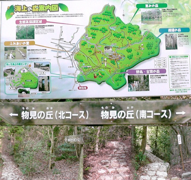 あいち海上の森センター。案内図の通り物見の丘を目指して登り始めたが、丘らしき場所が見当たらず （目的地までの距離標識が１００ｍ間隔であると高齢者にとって有難い）引き返しました。 参照：下街道・瑞浪 リンク： あいち海上の森センター 案内板位