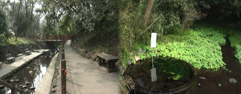 柿田川公園内