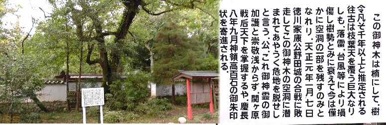 徳川家康公