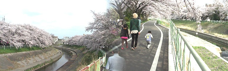 香流川緑道