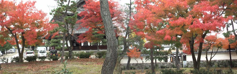 建仁寺境内。