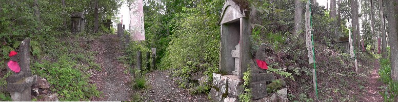 弘法山白山大権現に登る参道２。