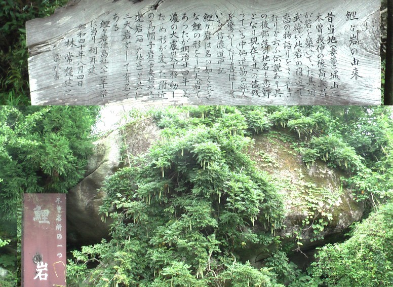 木曽名所のひとつ鯉岩。