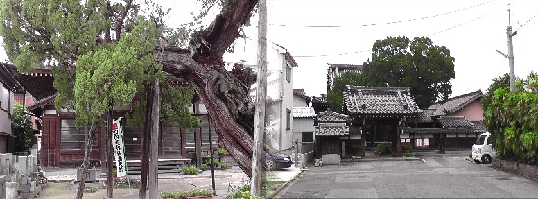 光明寺。リンク：四国直伝弘法・光明寺