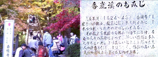 名古屋近郊さくら・もみじ観光(豊田市足助町・香嵐渓その1～3)