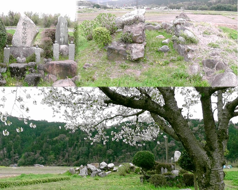 高蔵寺第五号墳（右上）。標識、案内などありませんが現地の様子、資料などから高蔵寺第五号墳と思われます。