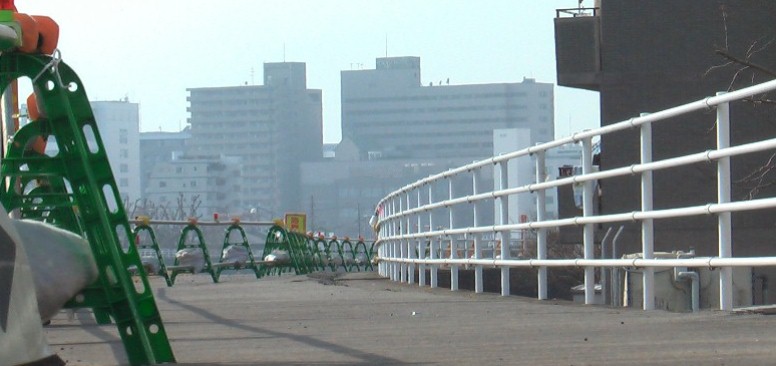広重画検証:下記一里塚近くの狩野川堤防から西方面、市中心部を見る。 旧東海道から夕日が見えるのは広重画・黄昏の場所によく似ています。