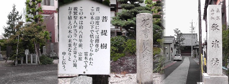 教津坊。リンク：教津坊 教津坊