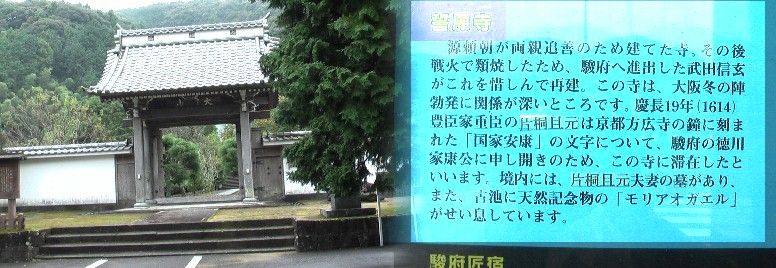 誓願寺。モリアオガエルの生息地で有名。関連：「国家安康」・方広寺 誓願寺