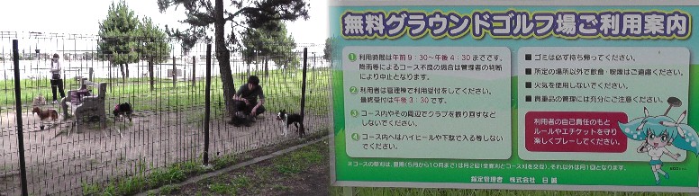 新舞子マリンパークのドッグランコース（左）。 ブルー・サンビーチ海岸風景。 新舞子海岸(左)。 アカウミガメ産卵のモニュメント。 ブルー・サンビーチ海岸から中部国際空港の遠望。 新舞子マリンパークの小さな旅 第１部 第２部 第３部