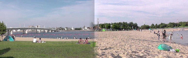 新舞子マリンパークのドッグランコース（左）。 ブルー・サンビーチ海岸風景。 新舞子海岸(左)。 アカウミガメ産卵のモニュメント。 ブルー・サンビーチ海岸から中部国際空港の遠望。 新舞子マリンパークの小さな旅 第１部 第２部 第３部