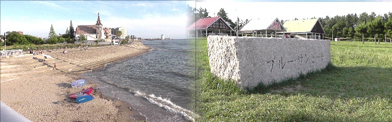 新舞子マリンパークのドッグランコース（左）。 ブルー・サンビーチ海岸風景。 新舞子海岸(左)。 アカウミガメ産卵のモニュメント。 ブルー・サンビーチ海岸から中部国際空港の遠望。 新舞子マリンパークの小さな旅 第１部 第２部 第３部