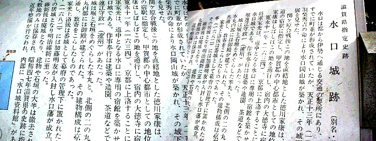 水口城
