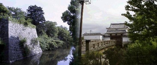 水口城