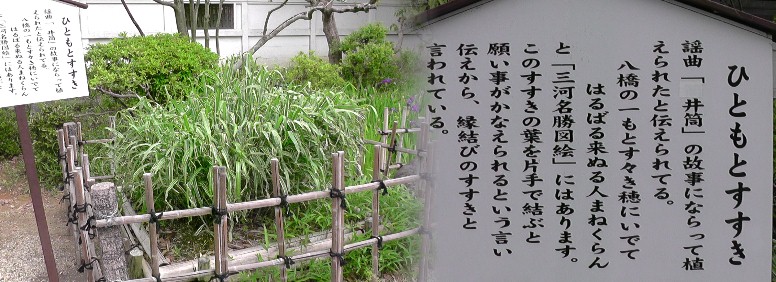 無量寿寺境内。2019.5.15撮影。