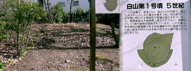 長坂遺跡内白山1号墳。