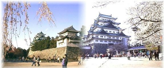写真左は西の丸広場からの天守閣、右は本丸御殿跡前から見た天守閣 ４月１日現在７～８分咲き、名城線市役所駅下車