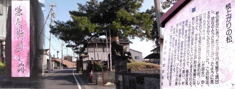 鎌倉街道(三河編)