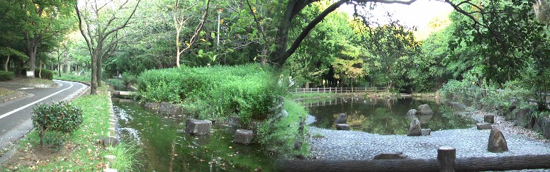 小川の水が綺麗で流れているのが珍しく感じました左写真。ここで小さな旅は終わります。 約３時間のゆったりした自分ひとりの小さな感動のひと時でした。２０１２．１０．７