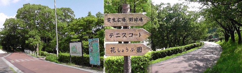東海市役所も隣接して置かれている大池公園。