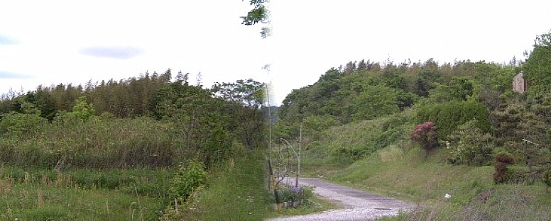 勝手塚古墳から南東約３００ｍの場所で探しましたが大久手古墳は見当たりませんでした。