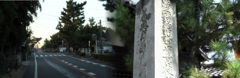 尾崎一里塚付近（知立宿方向を写す）の松並木と誓願寺前浄瑠璃姫の石碑。 。