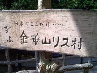 金華山リス村