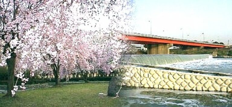 庄内緑地公園駅周辺案内(その２)