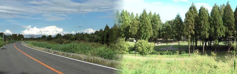 五所社前の堤防上から見る庄内緑地公園、左は右岸堤防庄内橋方面を見る。戦前は広い桑畑で 庄内橋が見えました。