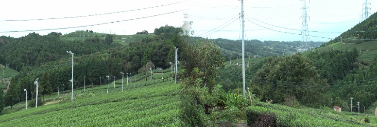 小夜の中山から眺めるお茶畑・・・・・ リンク：えっ？ お茶畑に扇風機!?