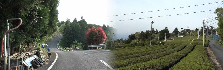 左：白山神社付近から日坂宿に向かう下り坂。右：白山神社付近から「間の宿菊川」方面を写す。