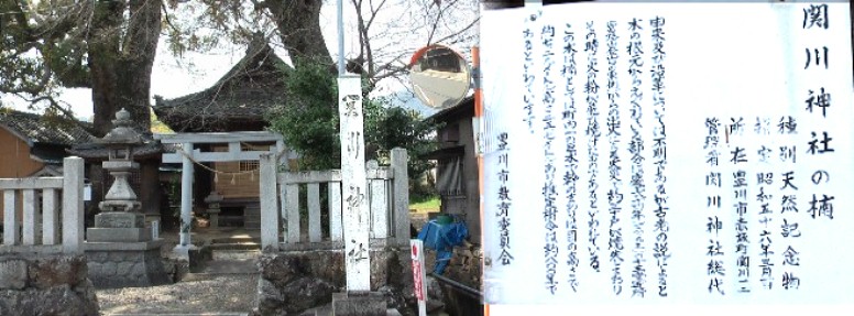 関川神社付近